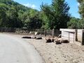 Corse 042